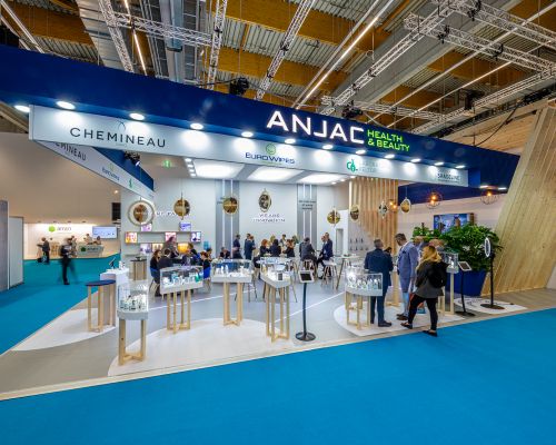 ICSE 2019 - ANJAC