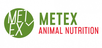 Logo METEX